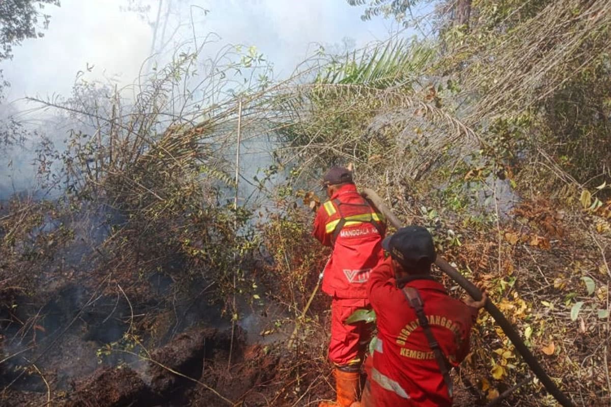 Lahan Gambut Kering, Manggala Agni Perkuat Pemadaman Karhutla Riau dan Dumai