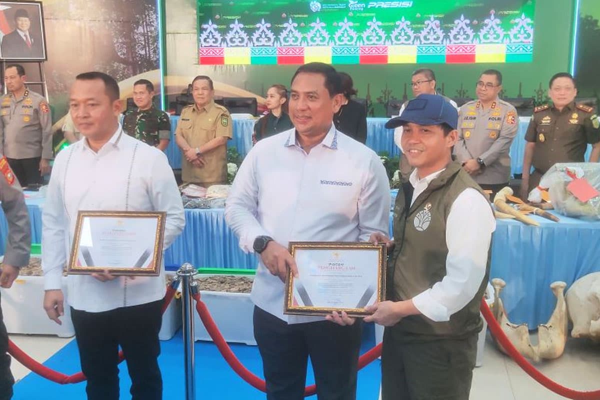 Pemerintah Siapkan Inpres untuk Selamatkan Gajah Sumatera dari Kepunahan